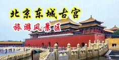 舔蜜汁穴口射中文字幕中国北京-东城古宫旅游风景区